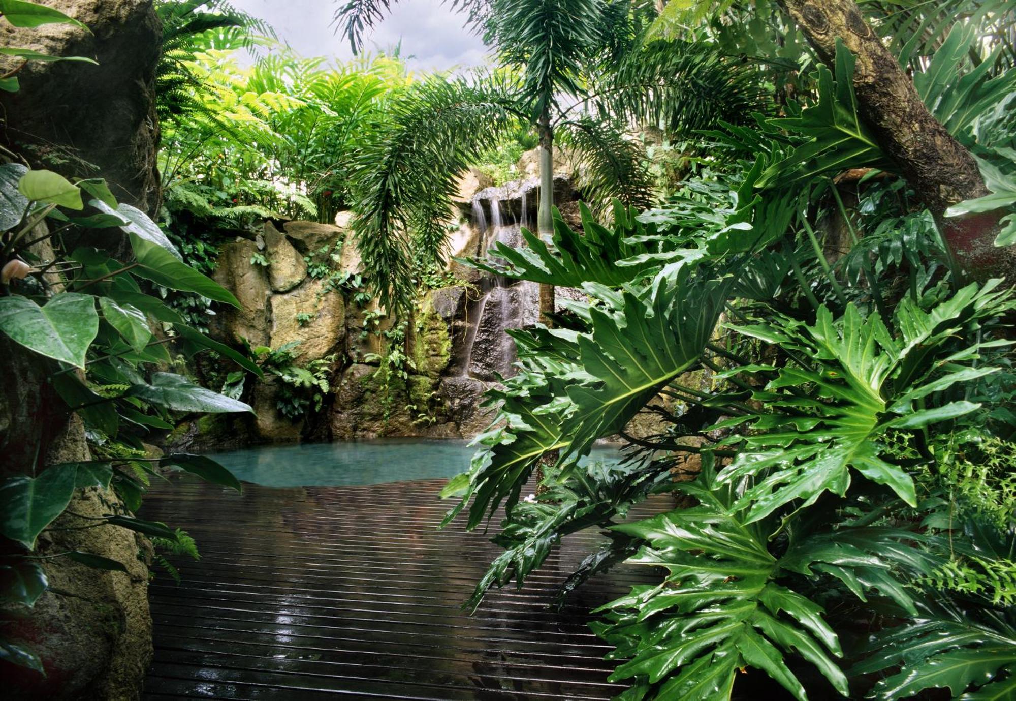 The Farm At San Benito Hotel Lipa City Luaran gambar